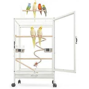 鳥かご ・ケージ - Amazon.co.jp